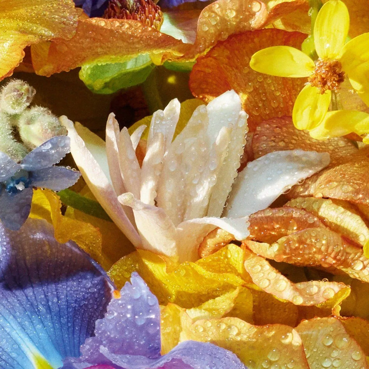 Guerlain Aqua Florabloom Edt Spray - 125 ml