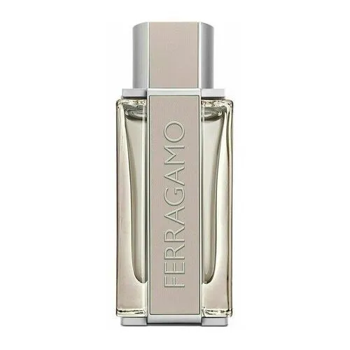 Salvatore Ferragamo - Bright Leather - 100 ml - Eau de Toilette - Herenparfum