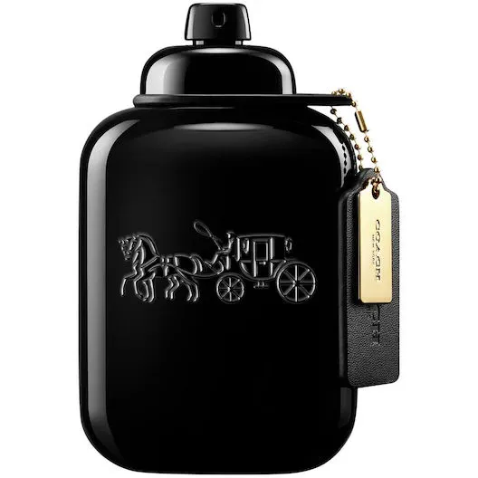 Coach Coach For Men Eau de Parfum 100 ml