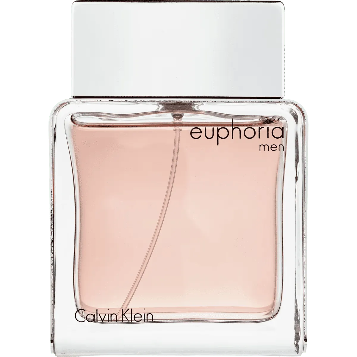 Calvin Klein Euphoria Men Eau de Toilette 100 ML 100 ML