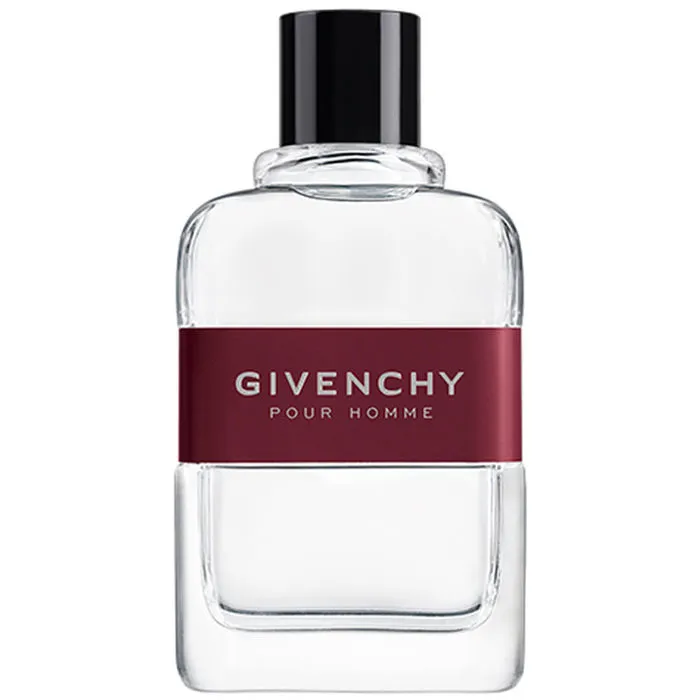 Givenchy Givenchy pour homme eau de toilette spray 100 ml
