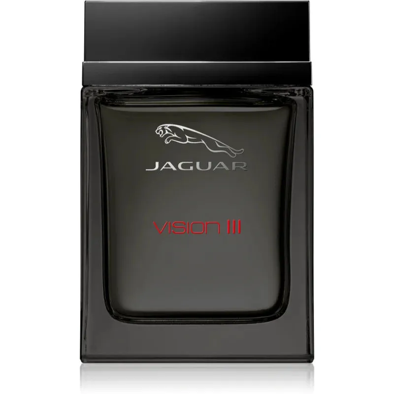 Herenparfum Jaguar EDT 100 ml Vision III (100 ml)