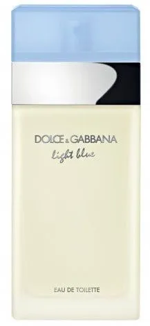 Dolce & Gabbana Light Blue eau de toilette spray 100 ml