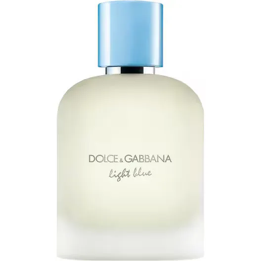 Dolce & Gabbana Light Blue Homme Eau de Toilette 100 ml