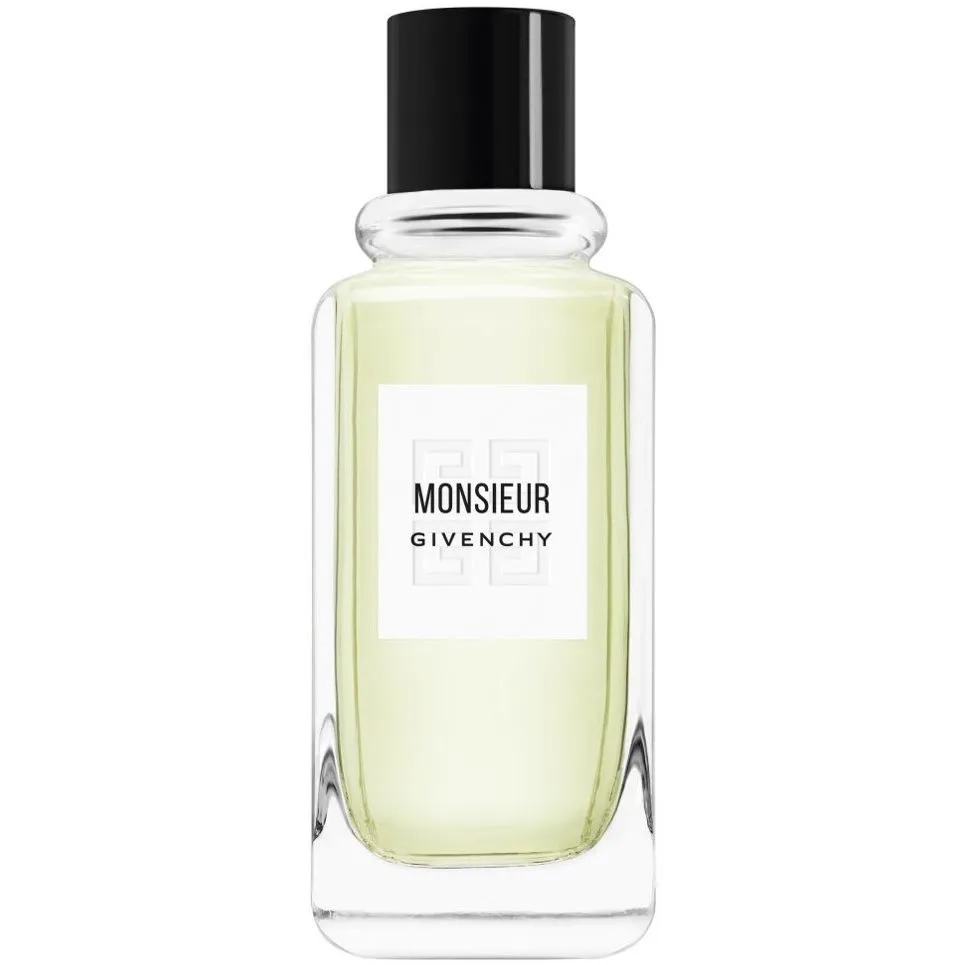 Givenchy Monsieur de Givenchy Eau de toilette spray 100 ml