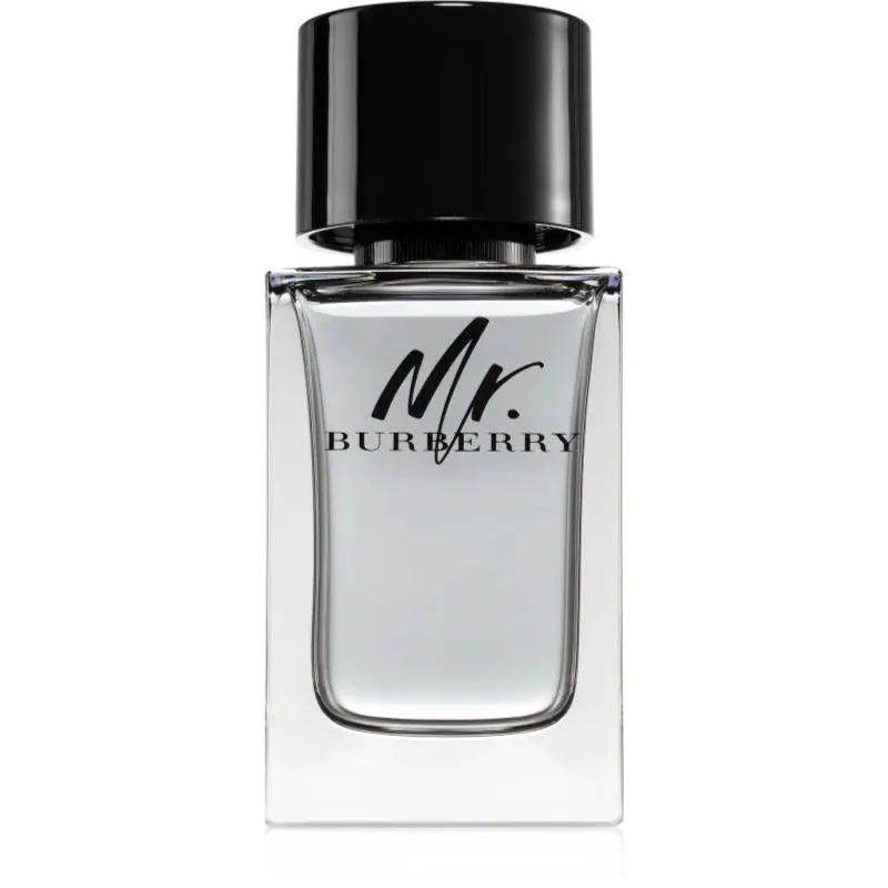 Burberry Mr Burberry - 100 ml - eau de toilette spray - herenparfum