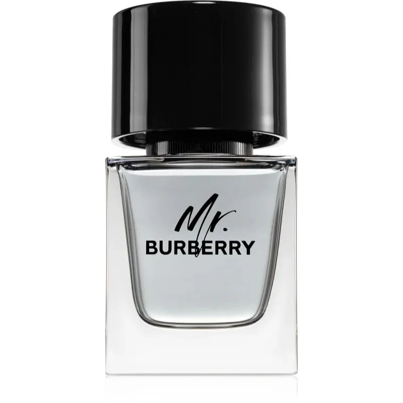 Burberry Mr Burberry - 50 ml - eau de toilette spray - herenparfum
