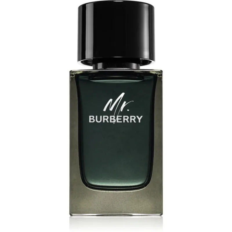 Burberry Mr. Burberry Eau de Parfum Spray 100 ml