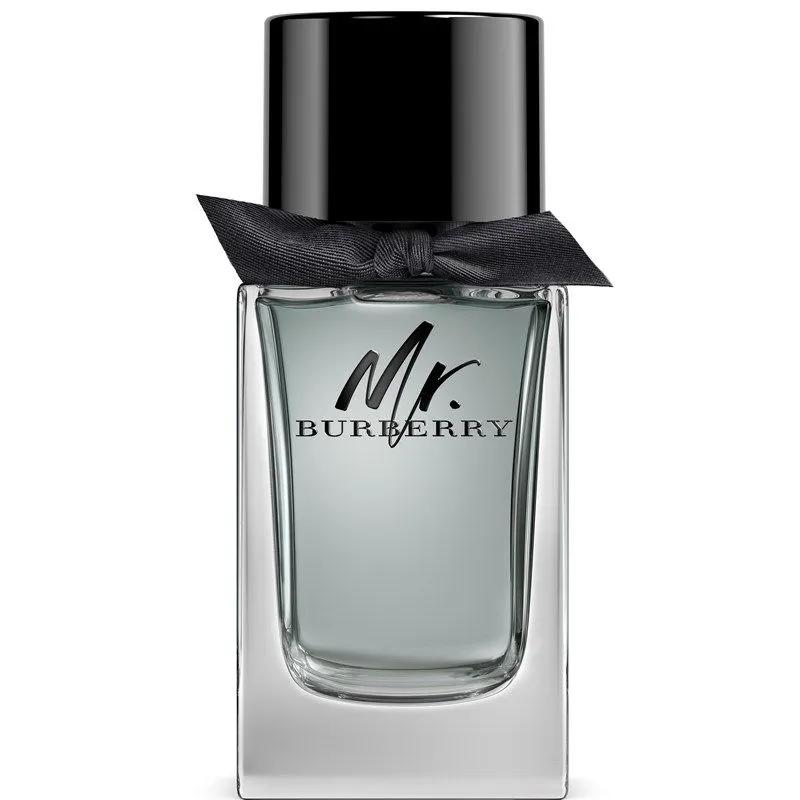 Burberry Mr. Burberry Eau de Toilette 100 ml