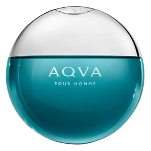 Bvlgari Pour Homme Eau de Toilette Spray Herenparfum Heren 100 ml