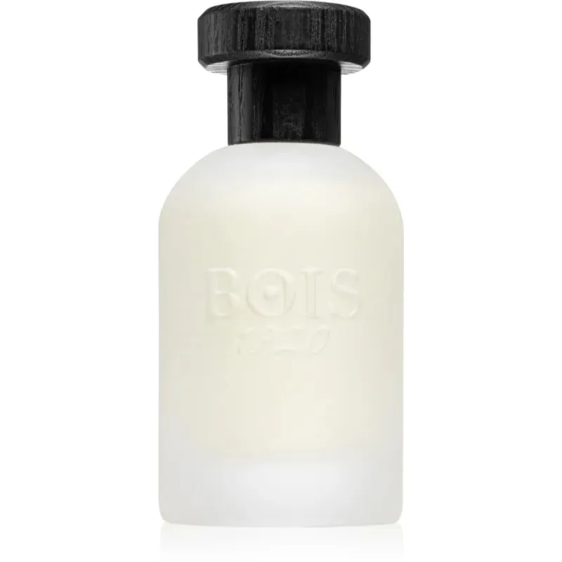 Real Patchouly by Bois 1920 100 ml - Eau De Parfum Spray