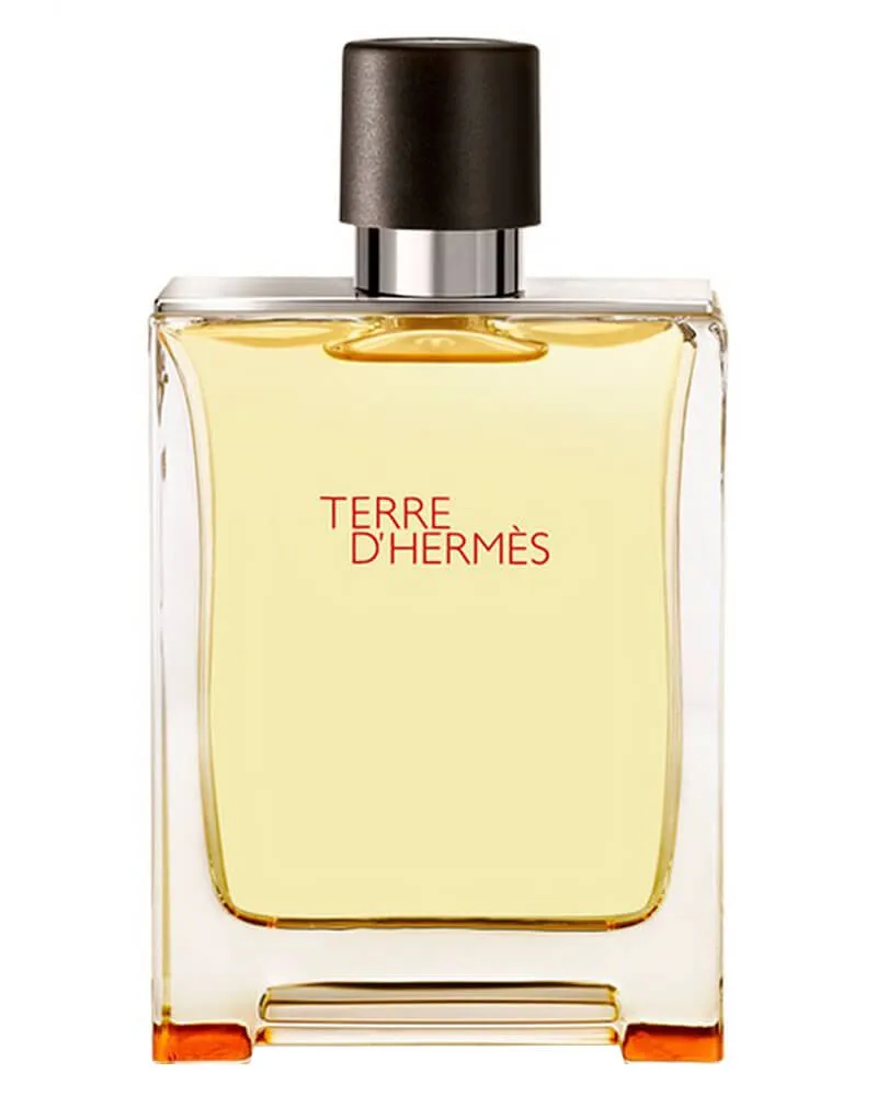 Hermes Terre d'Hermes 100 ml - Eau de Toilette - Herenparfum