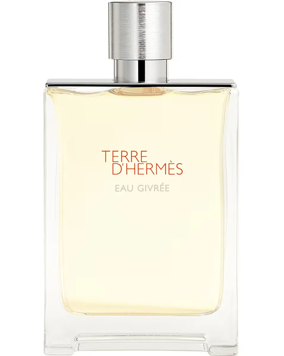 Hermès Terre d'Hermès Eau de parfum spray 175 ml