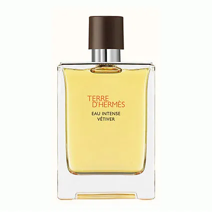 Hermès Terre D'Hermès Eau Intense Vétiver Eau de Parfum Intense 100 ml