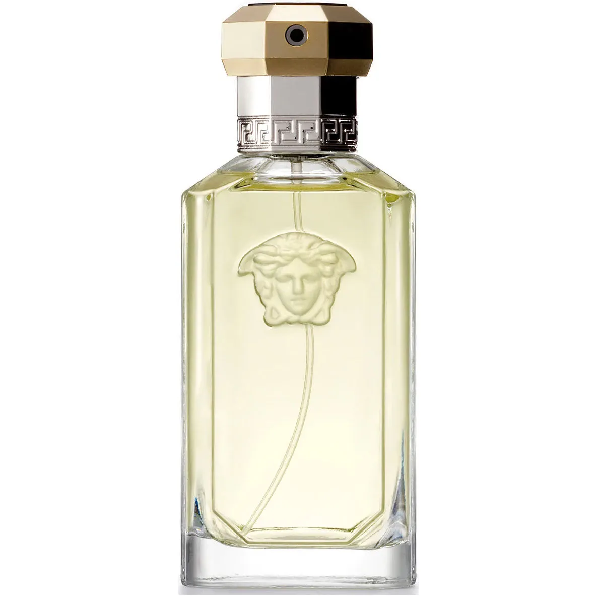 Versace The Dreamer Eau de Toilette 100 ml