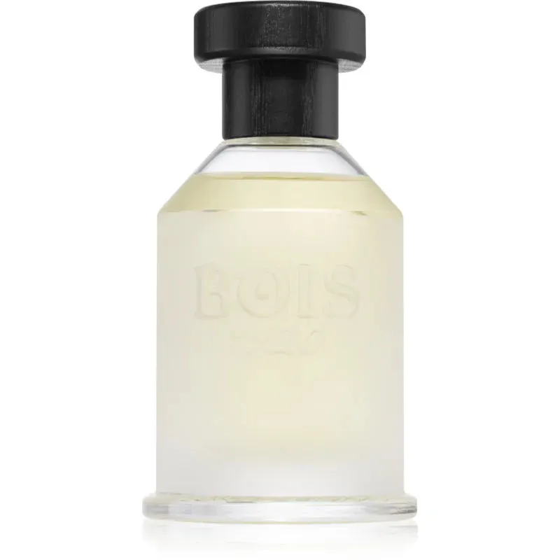 Uniseks Parfum Bois 1920 EDP Classic 1920 100 ml